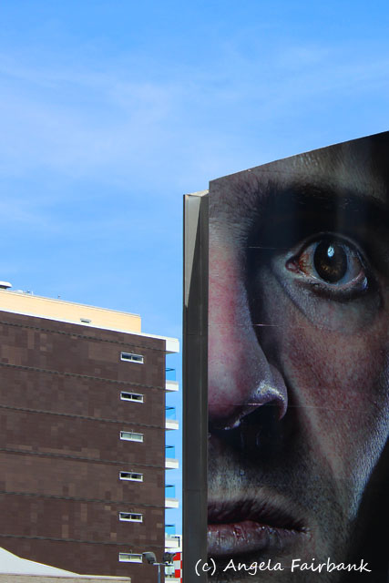 Wellington, New Zealand, copyright Angela Fairbank