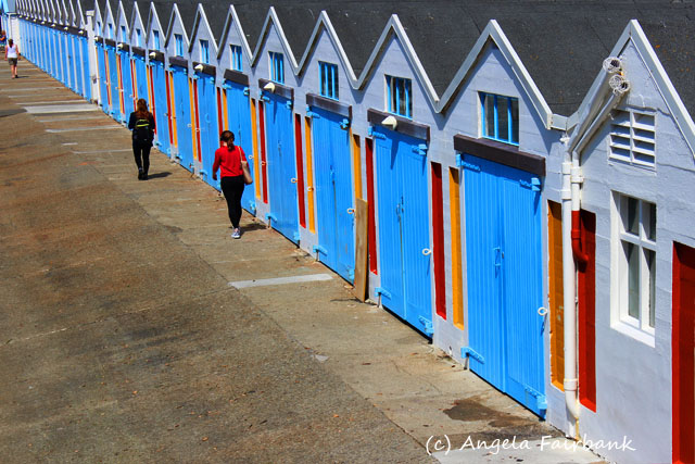 Wellington, New Zealand, copyright Angela Fairbank