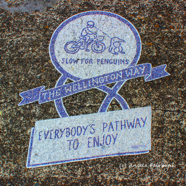Wellington, New Zealand, copyright Angela Fairbank
