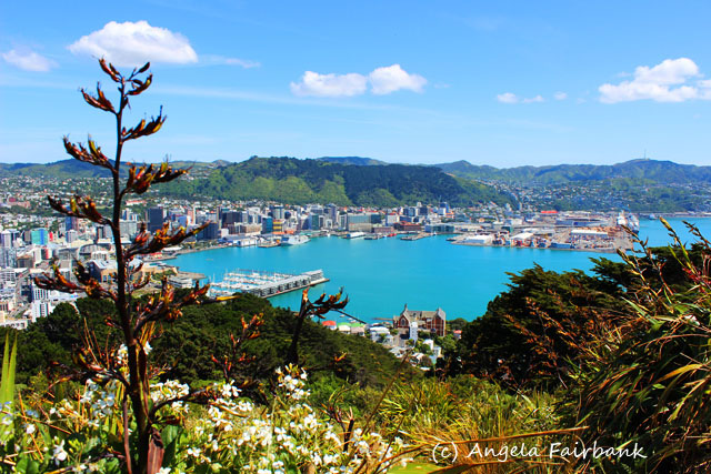 Wellington, New Zealand, copyright Angela Fairbank