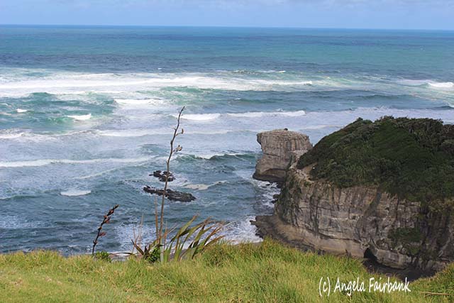 Murawai beach, Auckland, New Zealand, copyright Angela Fairbank