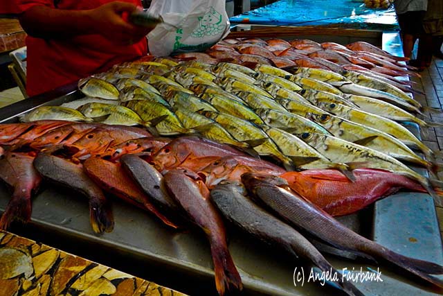 Fish at market, Papeete, Tahiti, French Polynesia, copyright Angela Fairbank