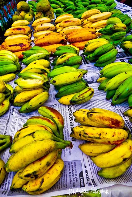 Bananas at market, Papeete, Tahiti, French Polynesia, copyright Angela Fairbank