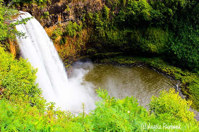 Wailua Falls, Kauai, Hawaii, copyright Angela Fairbank