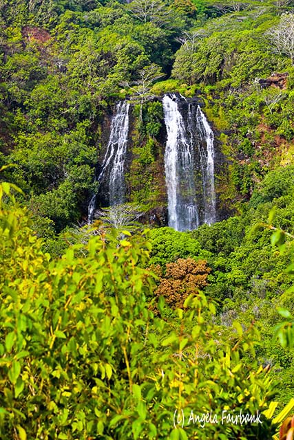 Opaeka'a Falls, Kauai, Hawaii, copyright Angela Fairbank