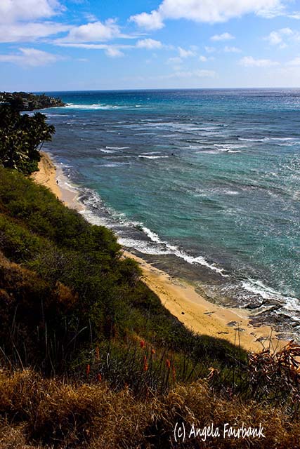 Oahu, Hawaii, copyright Angela Fairbank