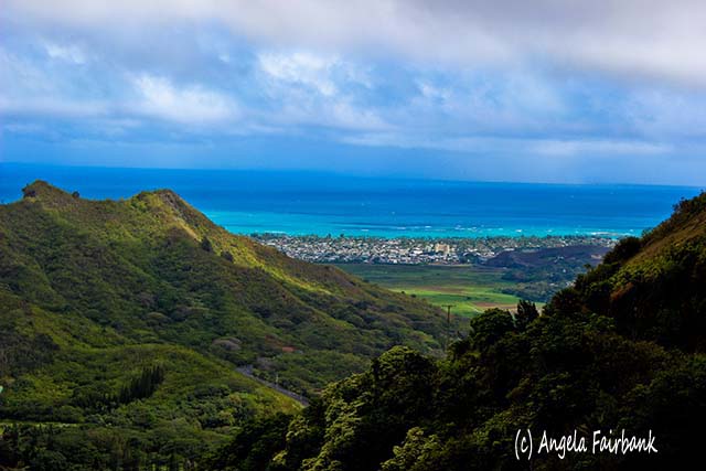 Oahu, Hawaii, copyright Angela Fairbank