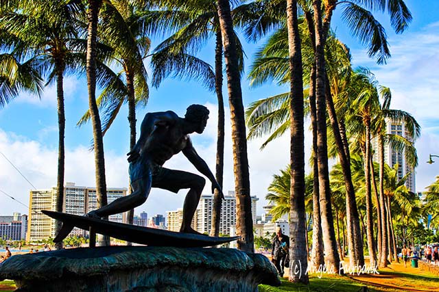 Oahu, Hawaii, copyright Angela Fairbank