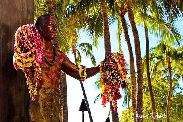 Oahu, Hawaii, copyright Angela Fairbank