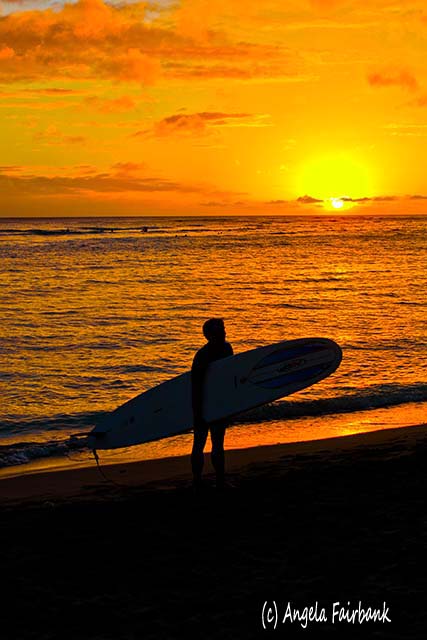 Oahu, Hawaii, copyright Angela Fairbank