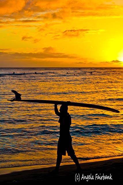 Oahu, Hawaii, copyright Angela Fairbank
