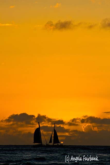 Oahu, Hawaii, copyright Angela Fairbank