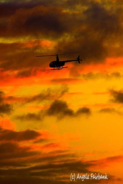Oahu, Hawaii, copyright Angela Fairbank