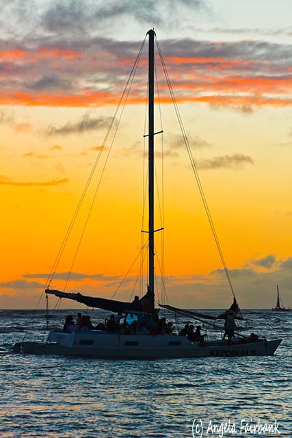 Oahu, Hawaii, copyright Angela Fairbank