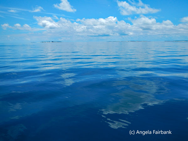 clear water