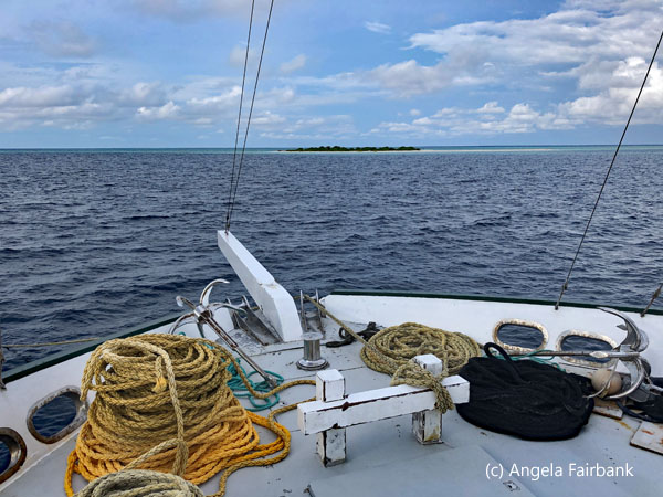 bow of boat