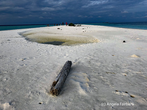 stick on sand bank