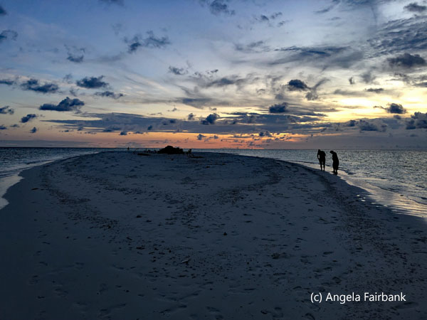sunset on the sand bank