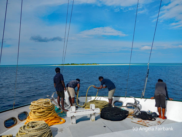 4 crew bringing up anchor