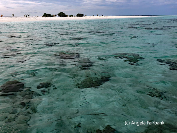 shallow water and sand bank
