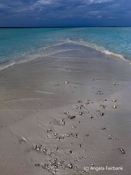 end of sand bank