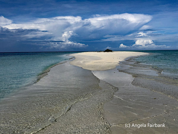 sand bank from the sea 3