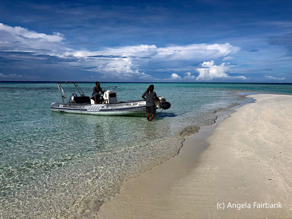 dinghy to pick us up