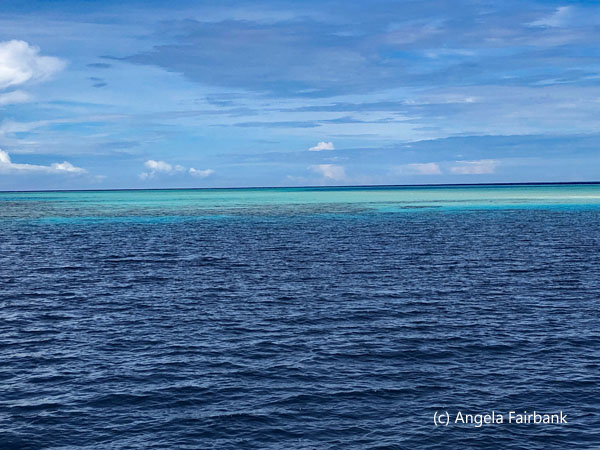 shades of blue