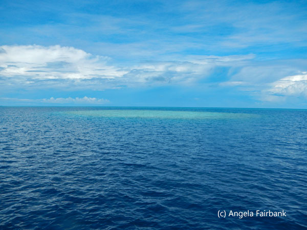 turquoise sea 3