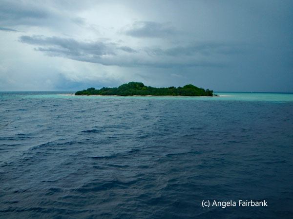 sand bank with vegetation