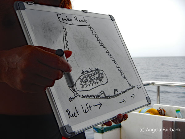 snorkeling plan