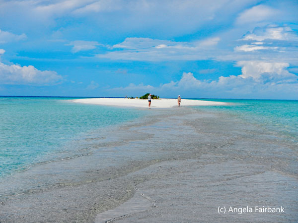 sand bank from the sea 1
