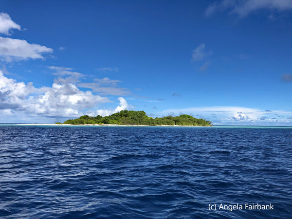 garbage collection island 1