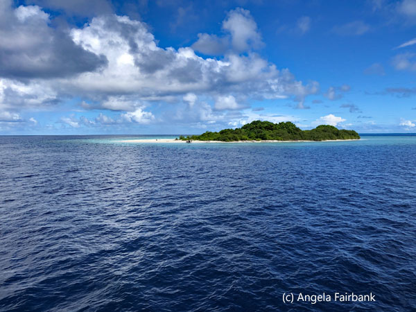 retreating from garbage island