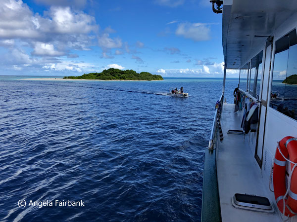 retreating from garbage island from boat