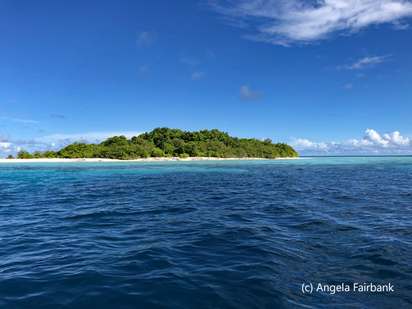 garbage collection island 2