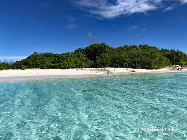 garbage collection island 3