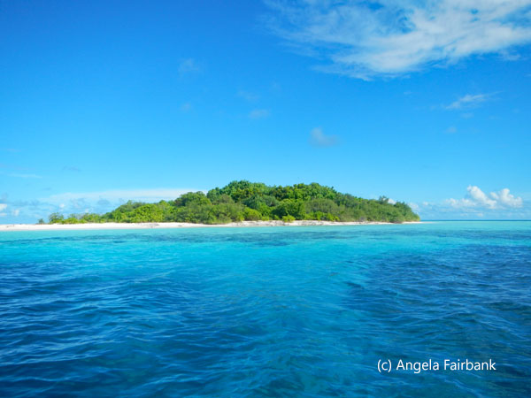 garbage collection island 4