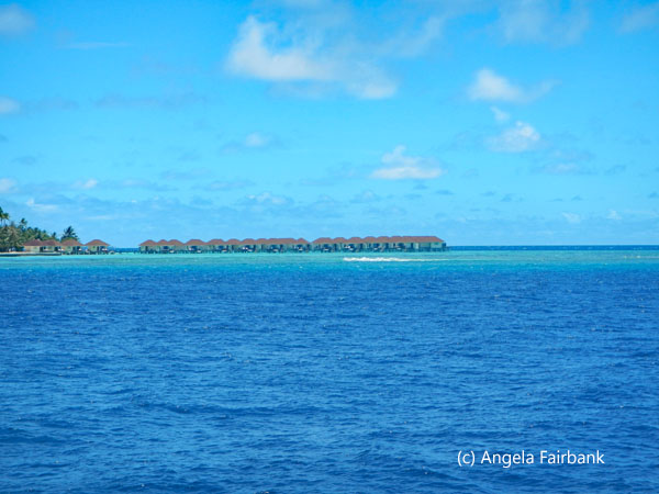 more over the water bungalows