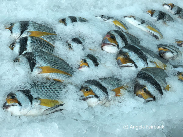 striped fish at fish market