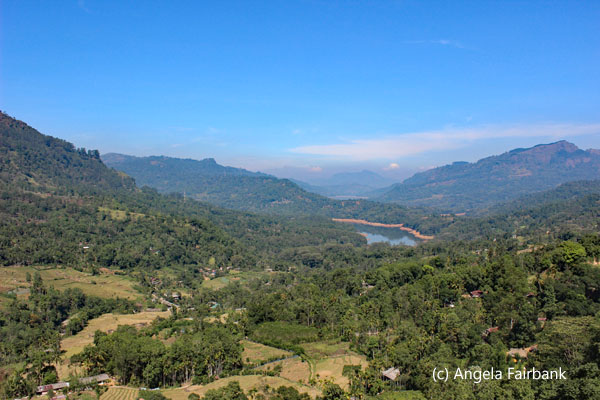 valley near tea factory 1