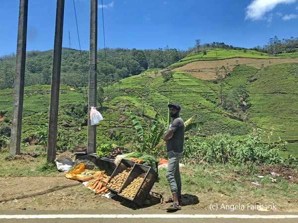 vendor by side of road