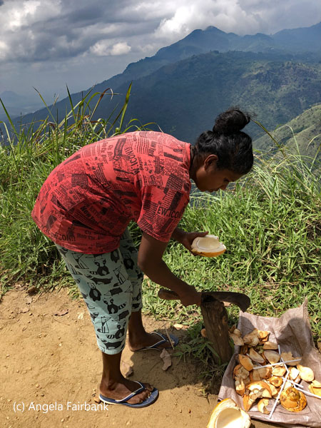 woman selling king coconut