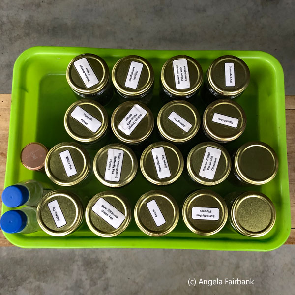 tea samples