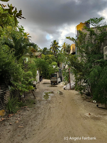 street scene