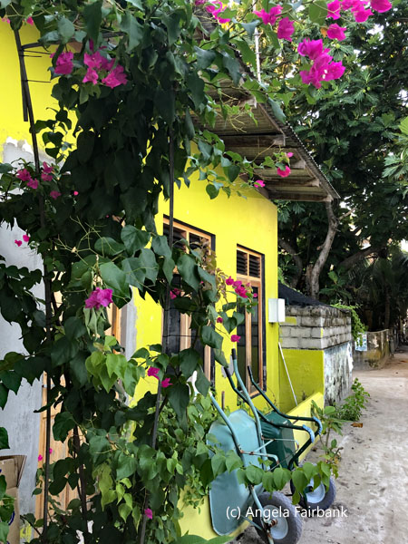 yellow house with pink bougainvillea