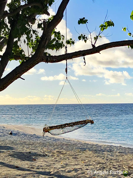 swing on beach