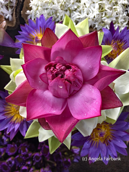 flower arrangement 2