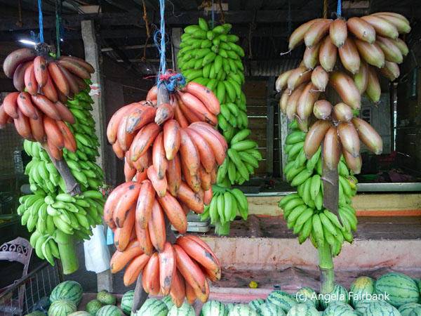 bananas