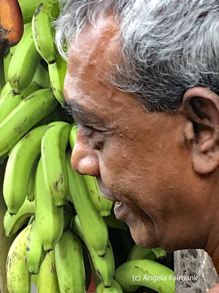 banana vendor 2